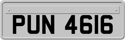 PUN4616
