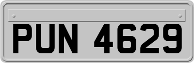 PUN4629