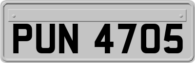 PUN4705