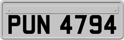 PUN4794
