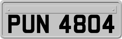 PUN4804