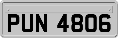 PUN4806