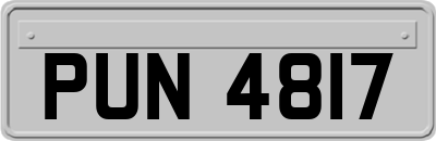PUN4817