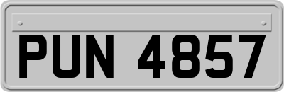 PUN4857