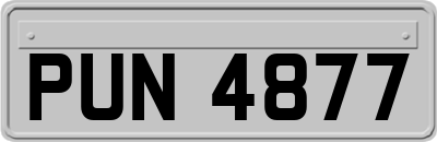 PUN4877
