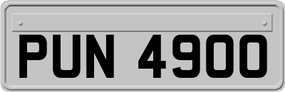 PUN4900