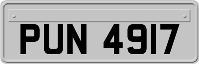 PUN4917