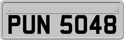 PUN5048