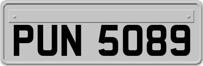 PUN5089