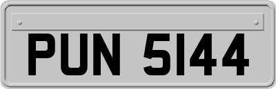 PUN5144