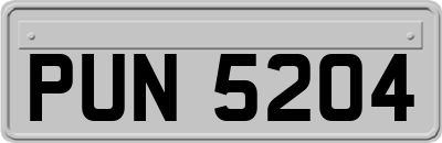 PUN5204