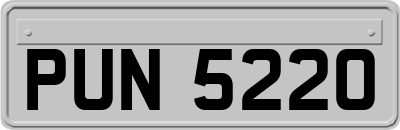 PUN5220