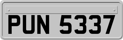 PUN5337