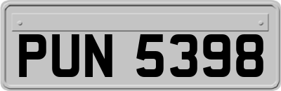 PUN5398