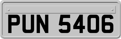 PUN5406