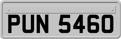 PUN5460