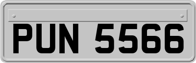 PUN5566