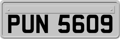 PUN5609