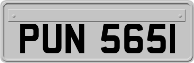 PUN5651