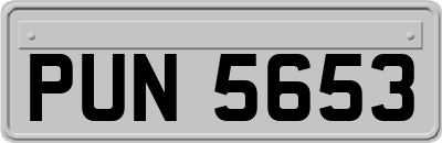 PUN5653