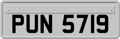 PUN5719