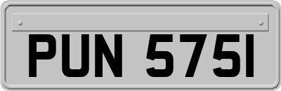 PUN5751