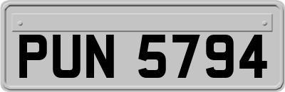 PUN5794