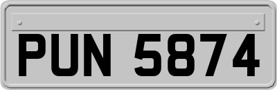 PUN5874