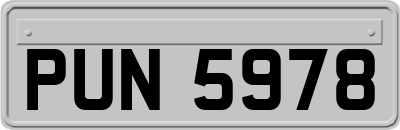 PUN5978