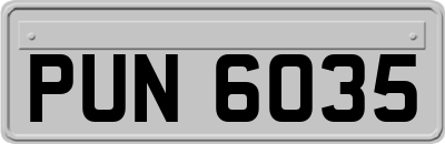 PUN6035