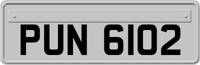 PUN6102