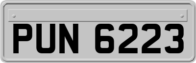 PUN6223