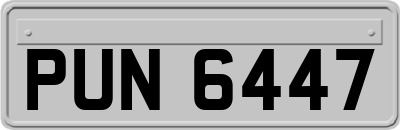 PUN6447