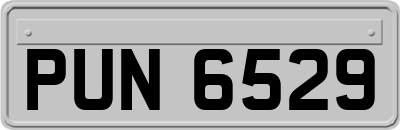PUN6529