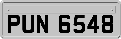 PUN6548