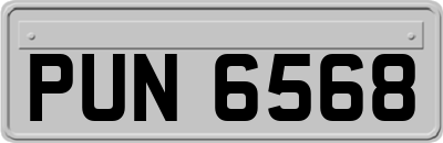 PUN6568