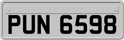 PUN6598