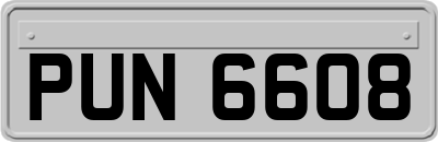 PUN6608