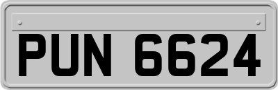 PUN6624