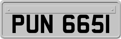 PUN6651
