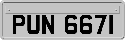PUN6671