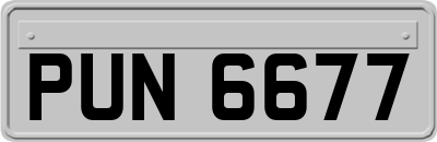 PUN6677