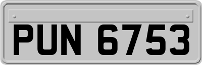 PUN6753