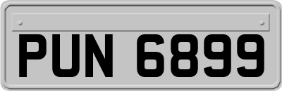 PUN6899