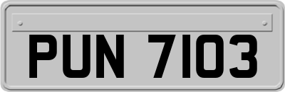 PUN7103