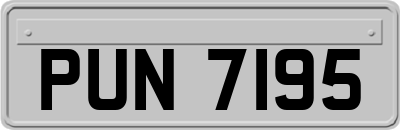 PUN7195