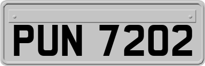 PUN7202