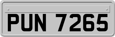 PUN7265