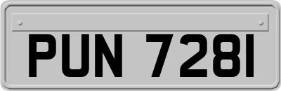 PUN7281
