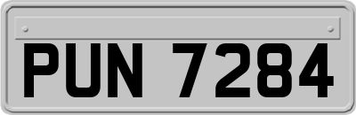 PUN7284